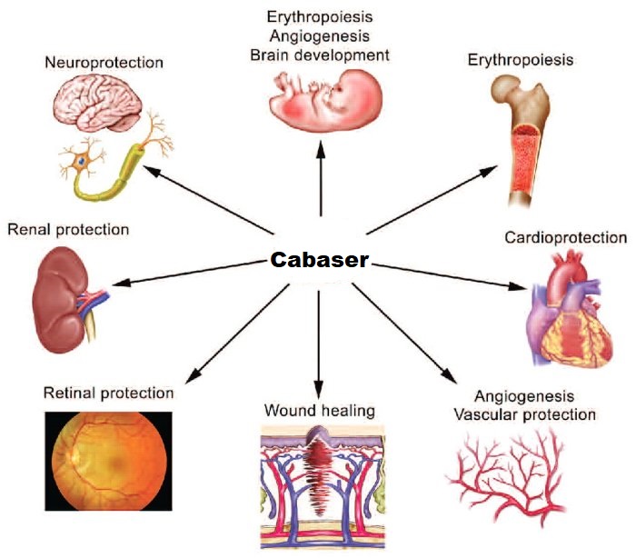 cabaser effects